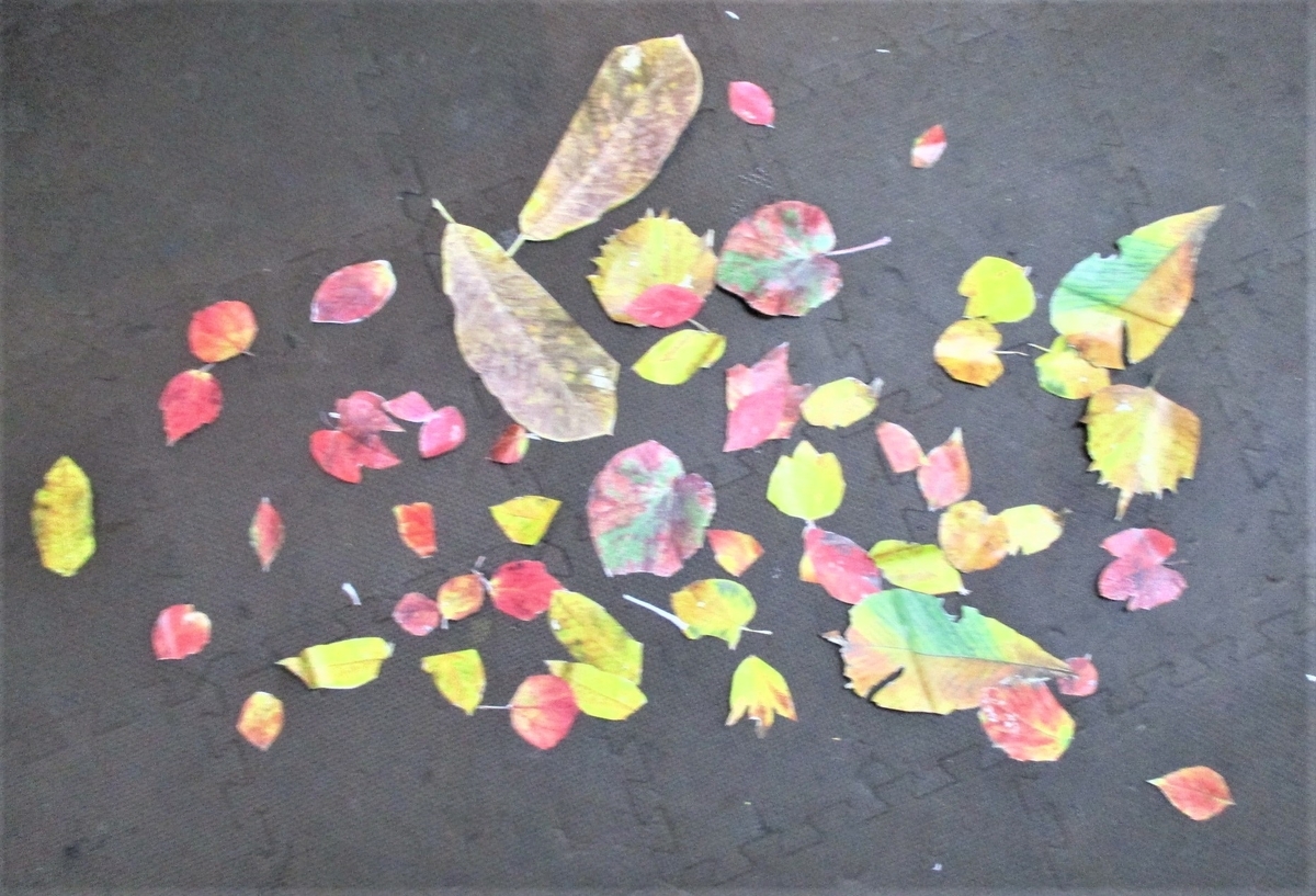 落ち葉拾いから始めて…… - 3歳から大人までの造形＆絵画教室！ ☆ お問い合わせ・☎03-3290-1087  ・メール・schooltmk@gmail.com・, image size:1200x817