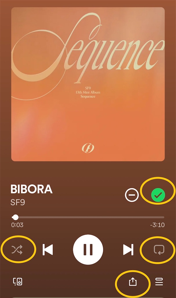 f:id:haten_91:20240408213013j:image