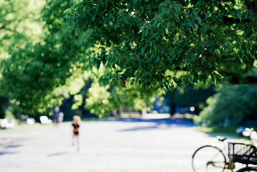 夏の公園 夏の写真