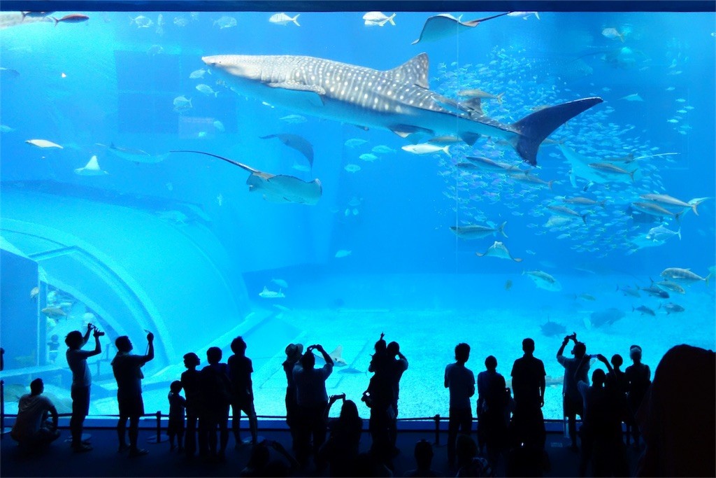 美ら海水族館