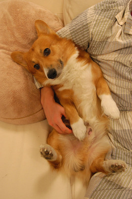 f:id:hatenacinnamon:20051121222904j:image