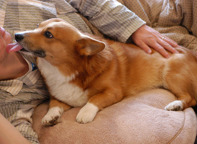 f:id:hatenacinnamon:20051211103727j:image