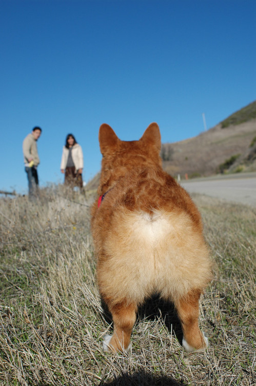 f:id:hatenacinnamon:20070109001332j:image