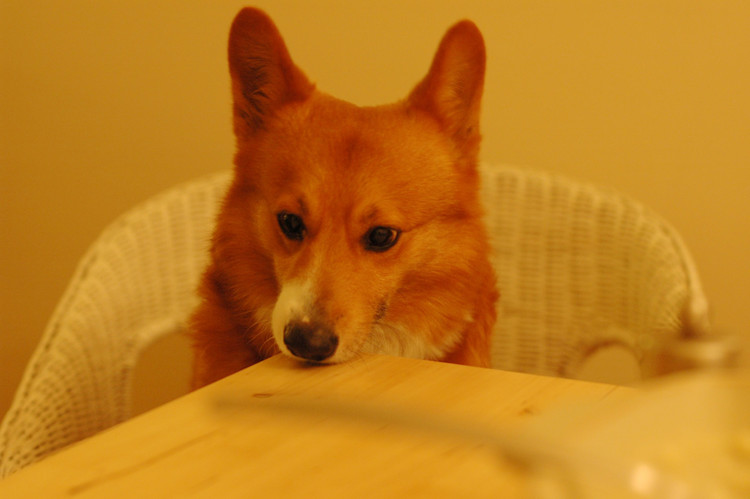 f:id:hatenacinnamon:20070124060337j:image