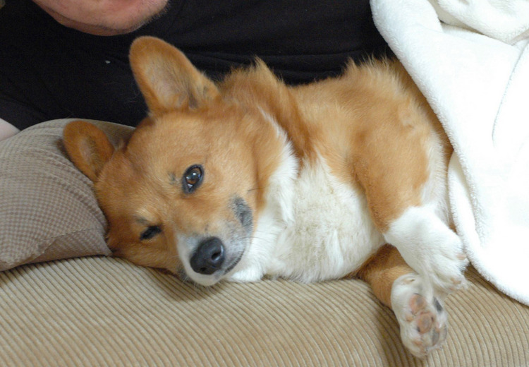 f:id:hatenacinnamon:20070904040920:image