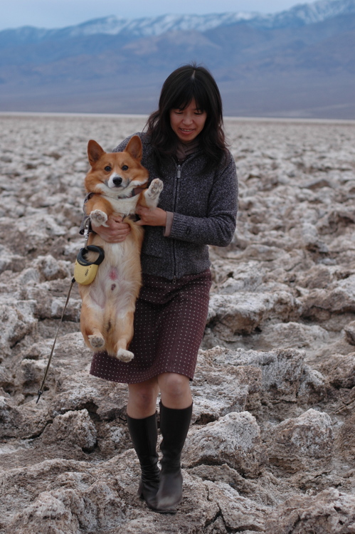 f:id:hatenacinnamon:20080128043006j:image