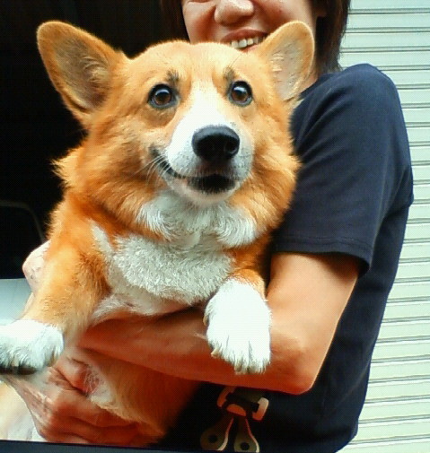 f:id:hatenacinnamon:20080824152635j:image