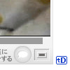 f:id:hatenadiary:20061204190051j:image