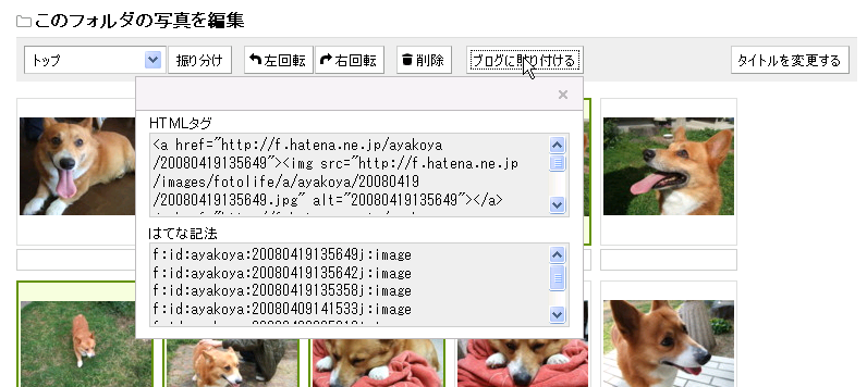 f:id:hatenafotolife:20080904183704p:image f:id:hatenafotolife:20080904183704p:image