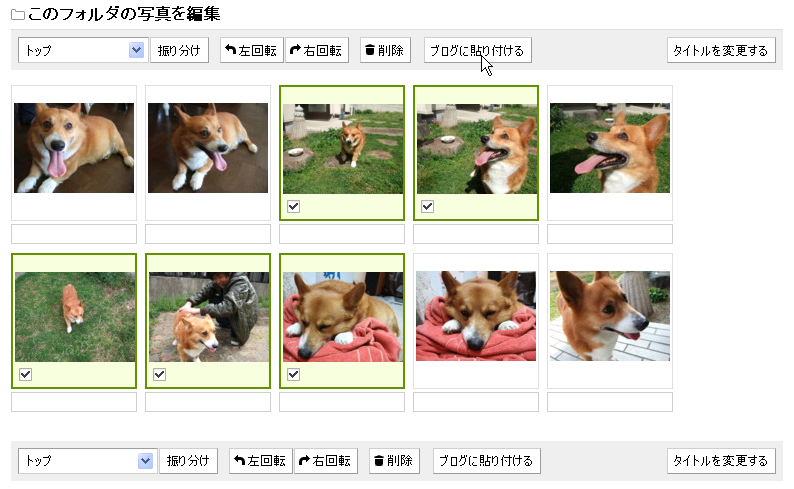 f:id:hatenafotolife:20080904183706p:image f:id:hatenafotolife:20080904183706p:image