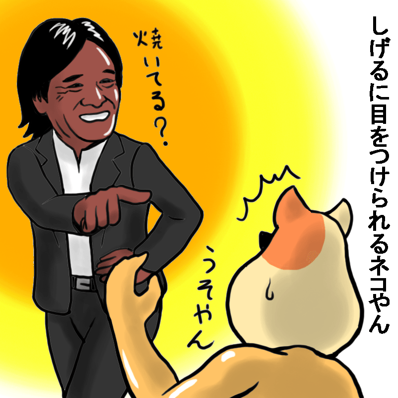 しげるに目をつけられるネコやん