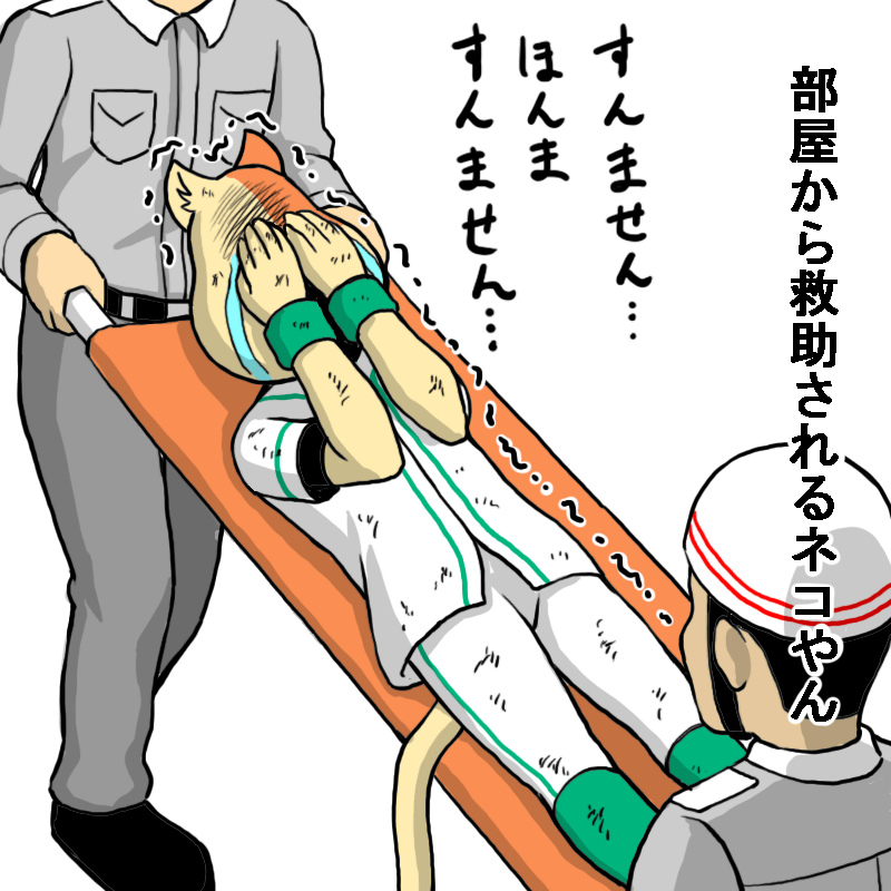 部屋から救助されるネコやん