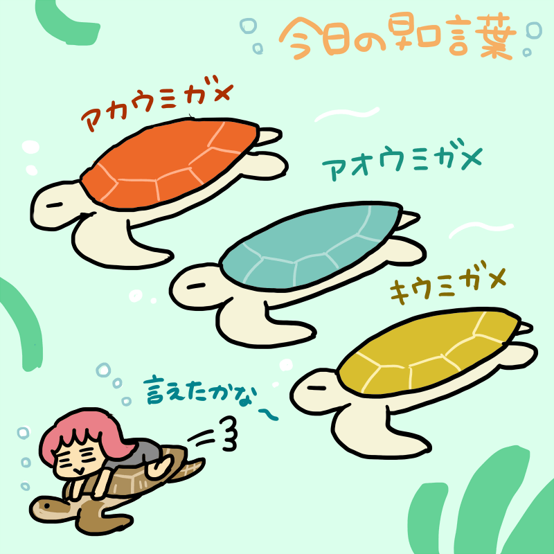 今日の早口言葉：ウミガメ