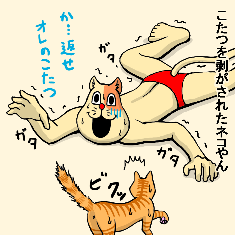 こたつを剥がされたネコやん