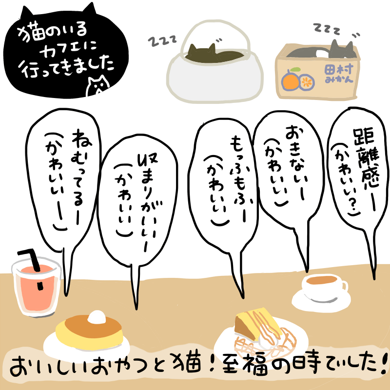 猫のいるカフェに行ってきました