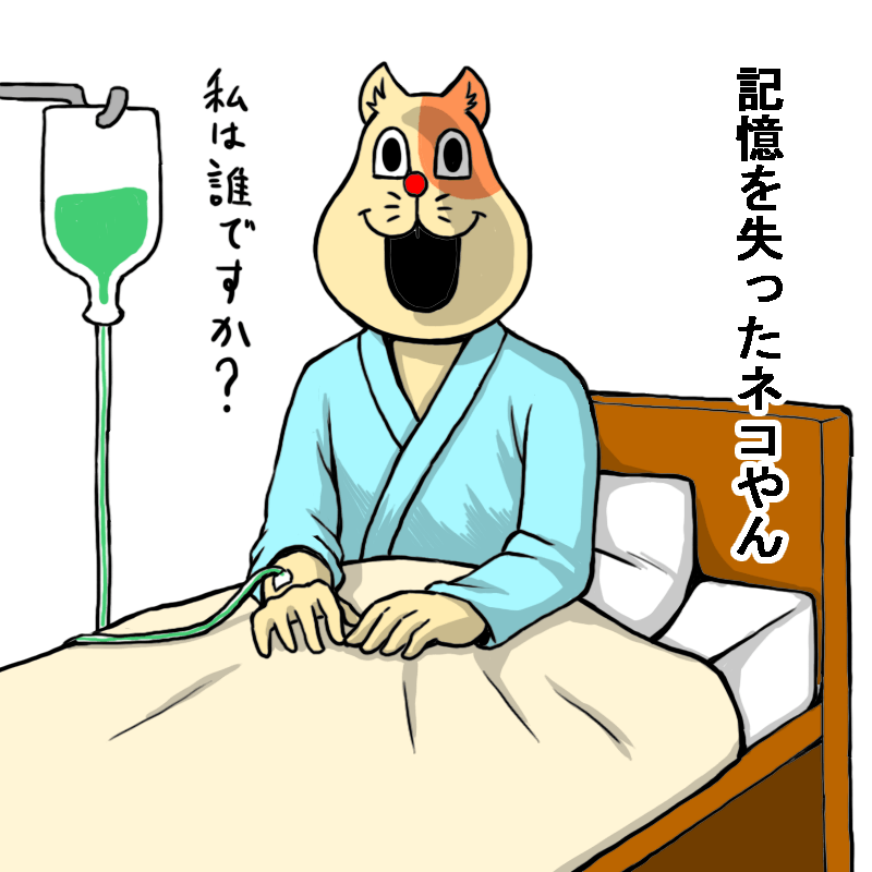 記憶を失ったネコやん