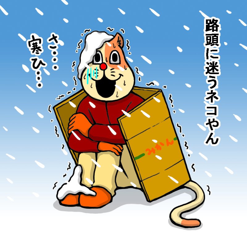 路頭に迷うネコやん