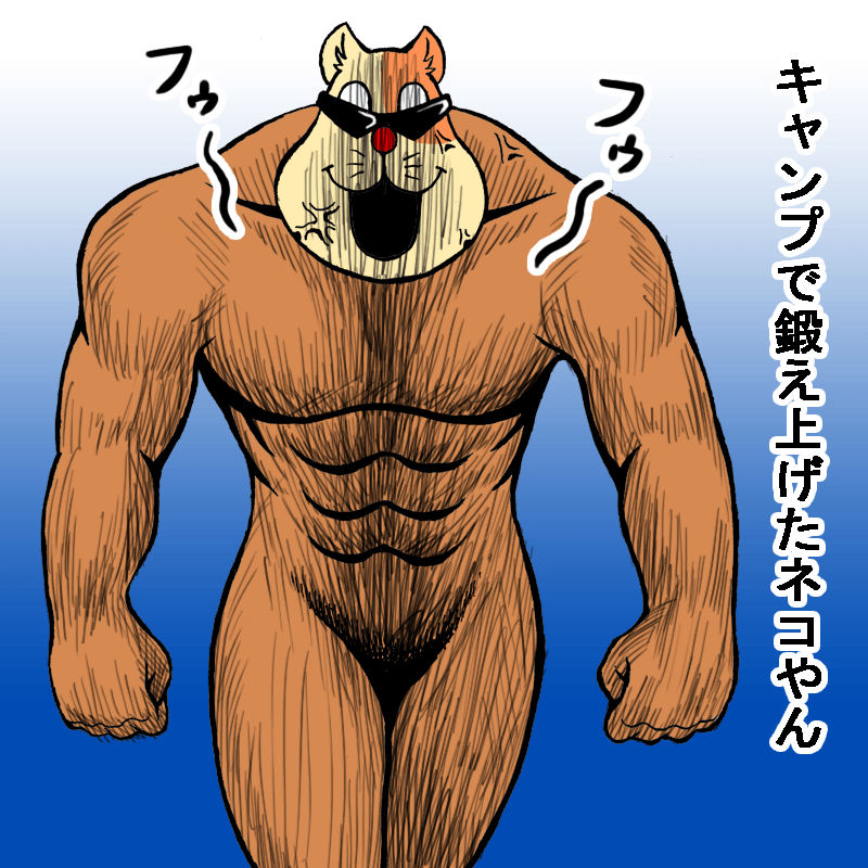 キャンプで鍛え上げたネコやん