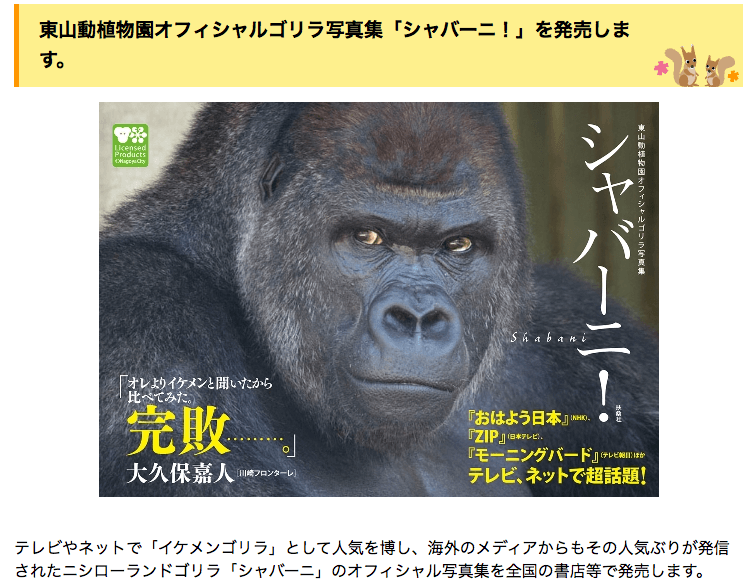 東山動植物園オフィシャルゴリラ写真集「シャバーニ！」を発売します。｜東山動植物園