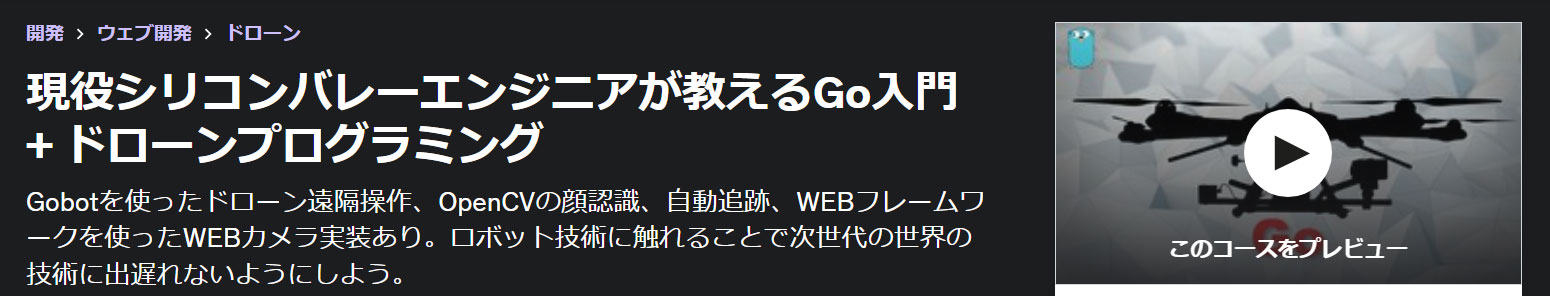 現役シリコンバレーエンジニアが教えるGo入門 + ドローンプログラミング