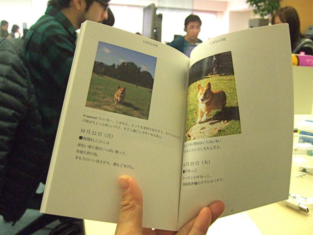 f:id:hatenapr:20100106153705j:image:w250