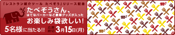 f:id:hatenapr:20100216161113g:image