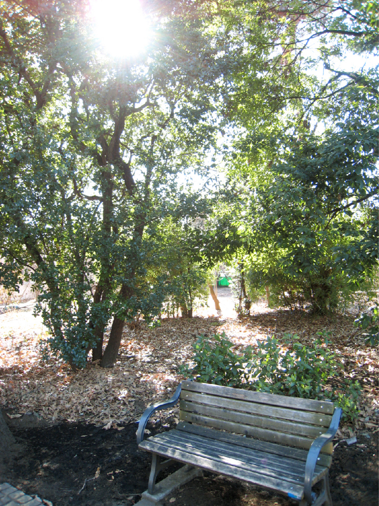 f:id:hatenapr:20100310122143j:image:h300
