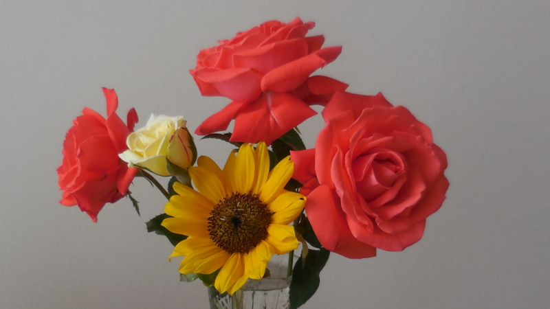 f:id:hateoji68:20150714111704j:image:w360:left