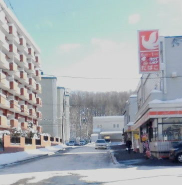 f:id:hateoji68:20160123151030j:image:w360:left