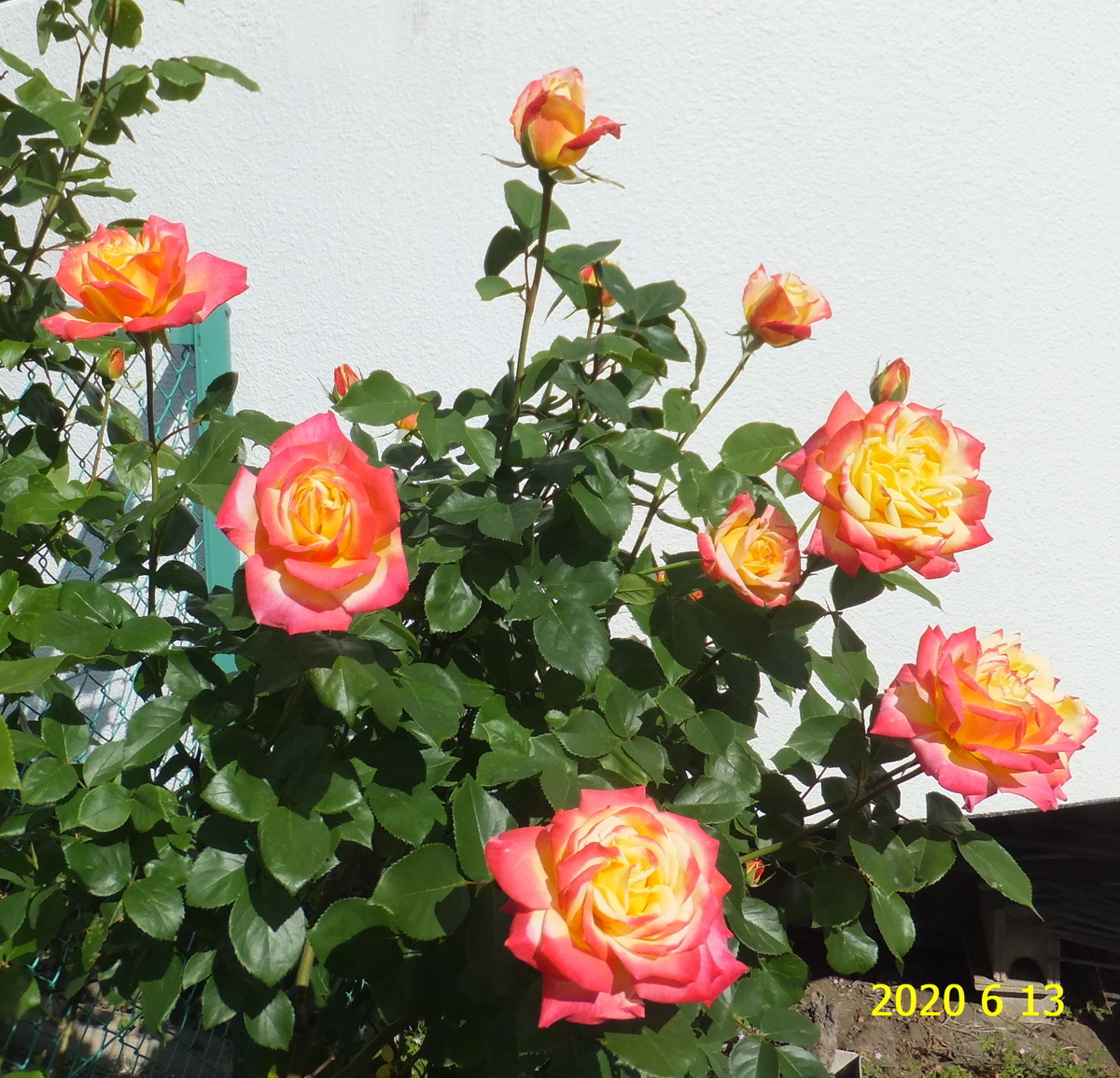 f:id:hateoji68:20200613074956j:plain
