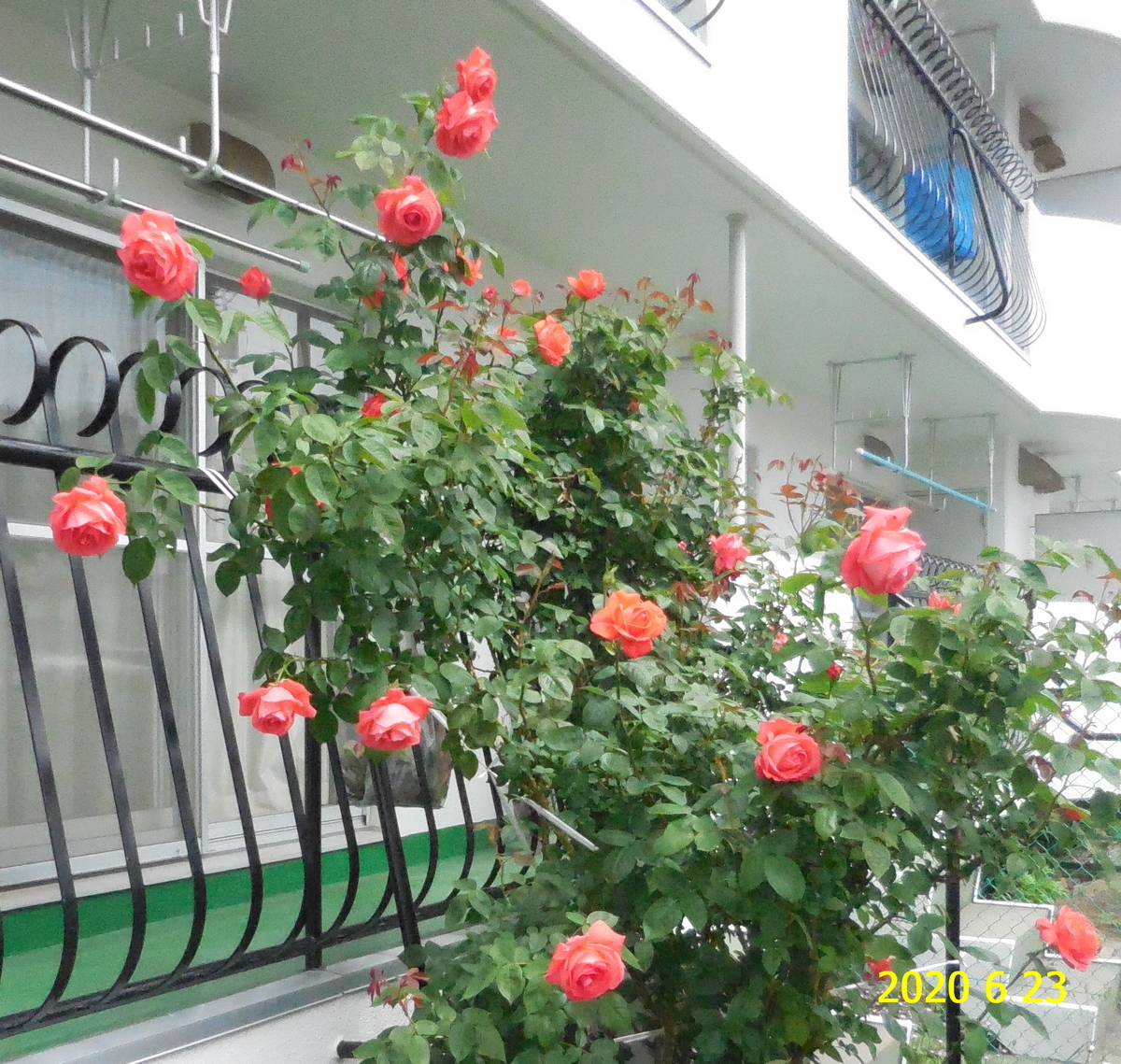 f:id:hateoji68:20200623102622j:plain