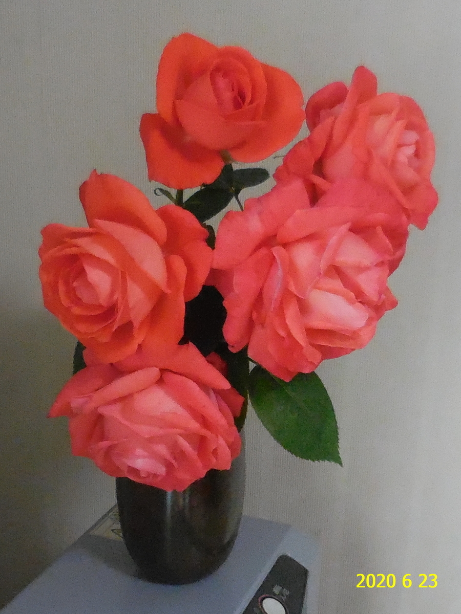 f:id:hateoji68:20200623103911j:plain
