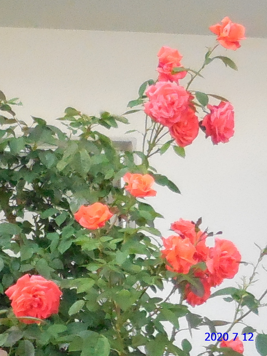 f:id:hateoji68:20200712135007j:plain