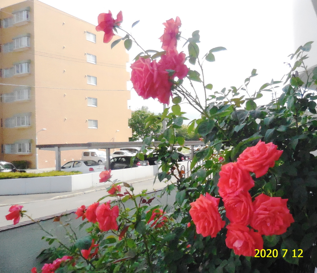 f:id:hateoji68:20200712135544j:plain