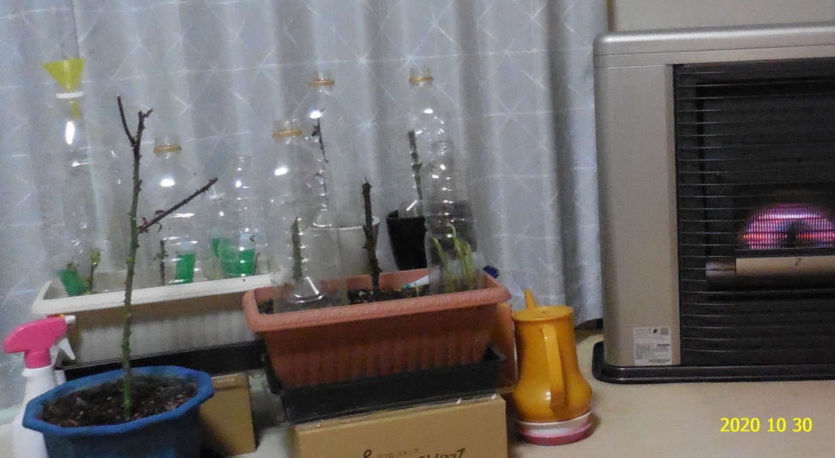 f:id:hateoji68:20201030105828j:plain f:id:hateoji68:20201030105828j:plain