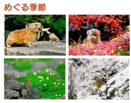 f:id:hateoji68:20210330102110j:plain