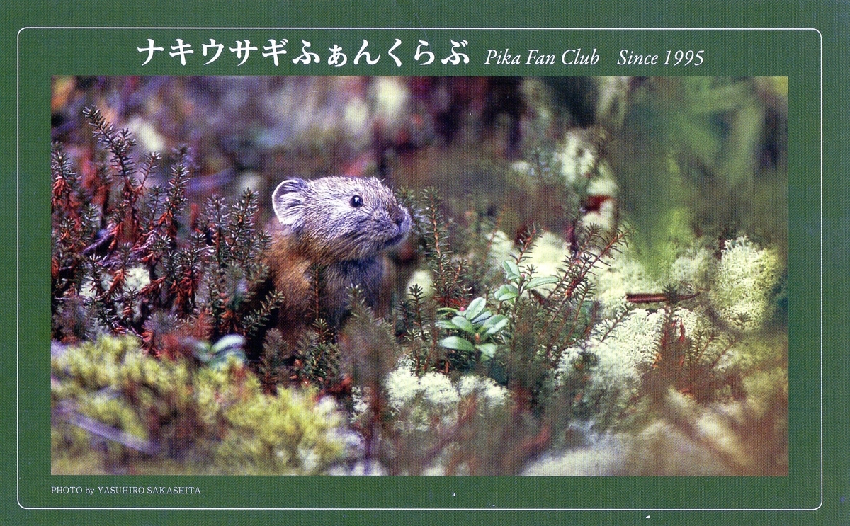 f:id:hateoji68:20210330105838j:plain