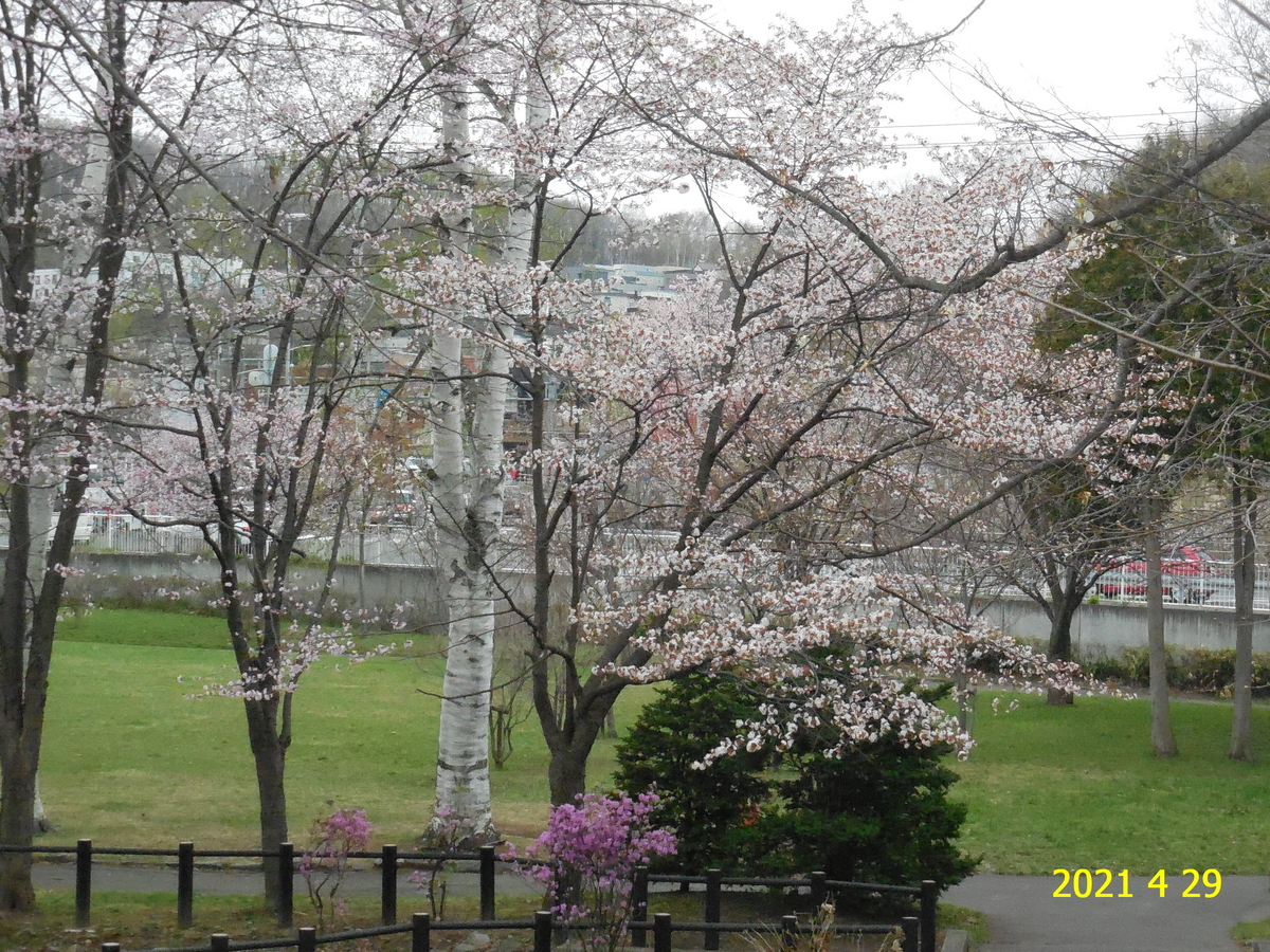 f:id:hateoji68:20210429113730j:plain