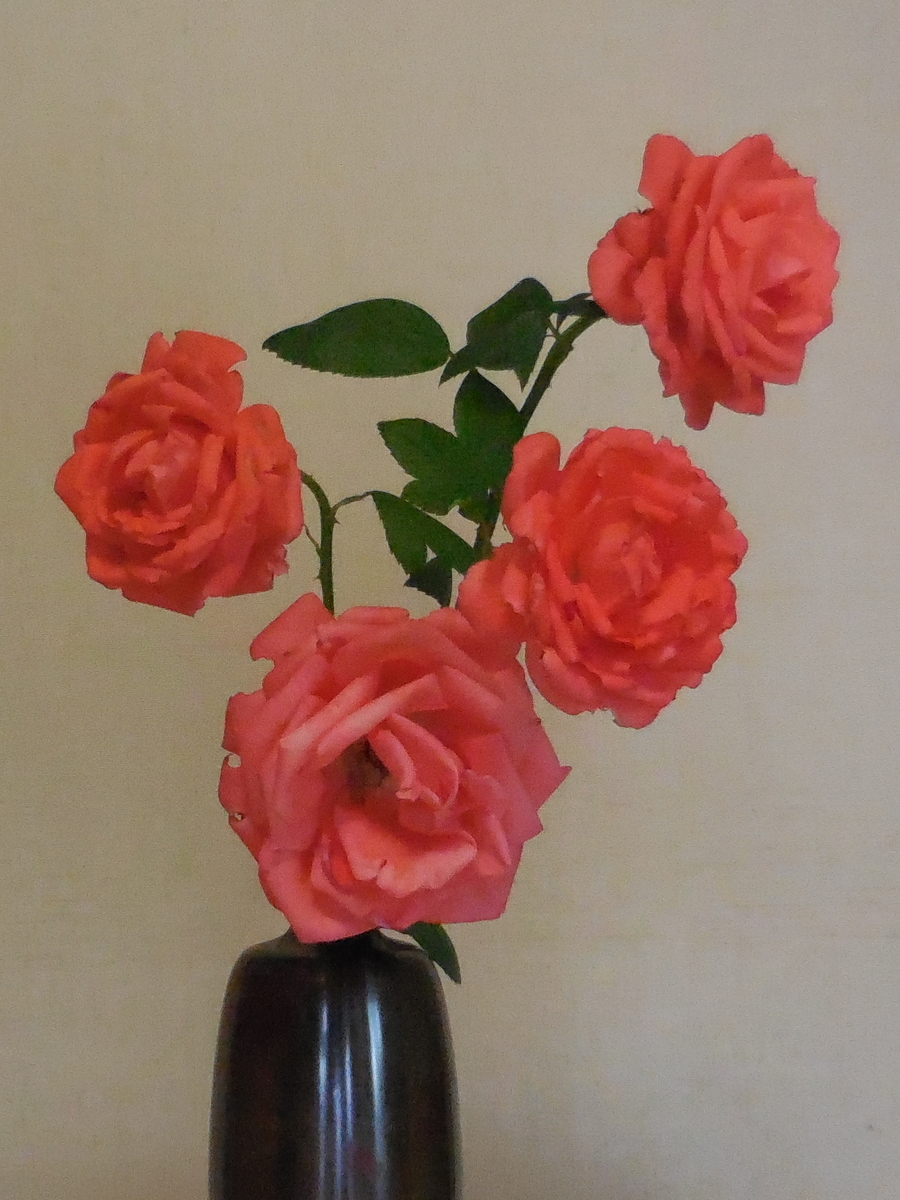 f:id:hateoji68:20210730133535j:plain