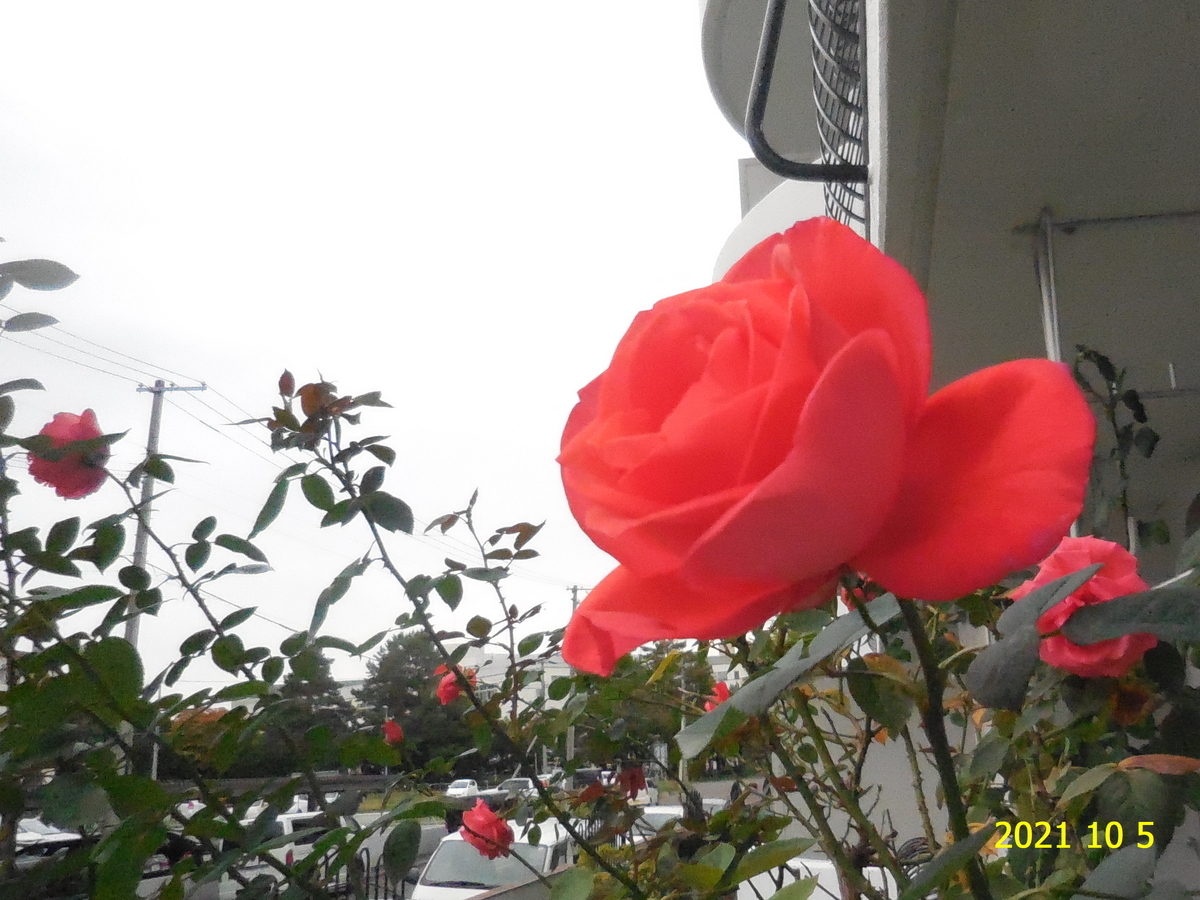 f:id:hateoji68:20211005112438j:plain