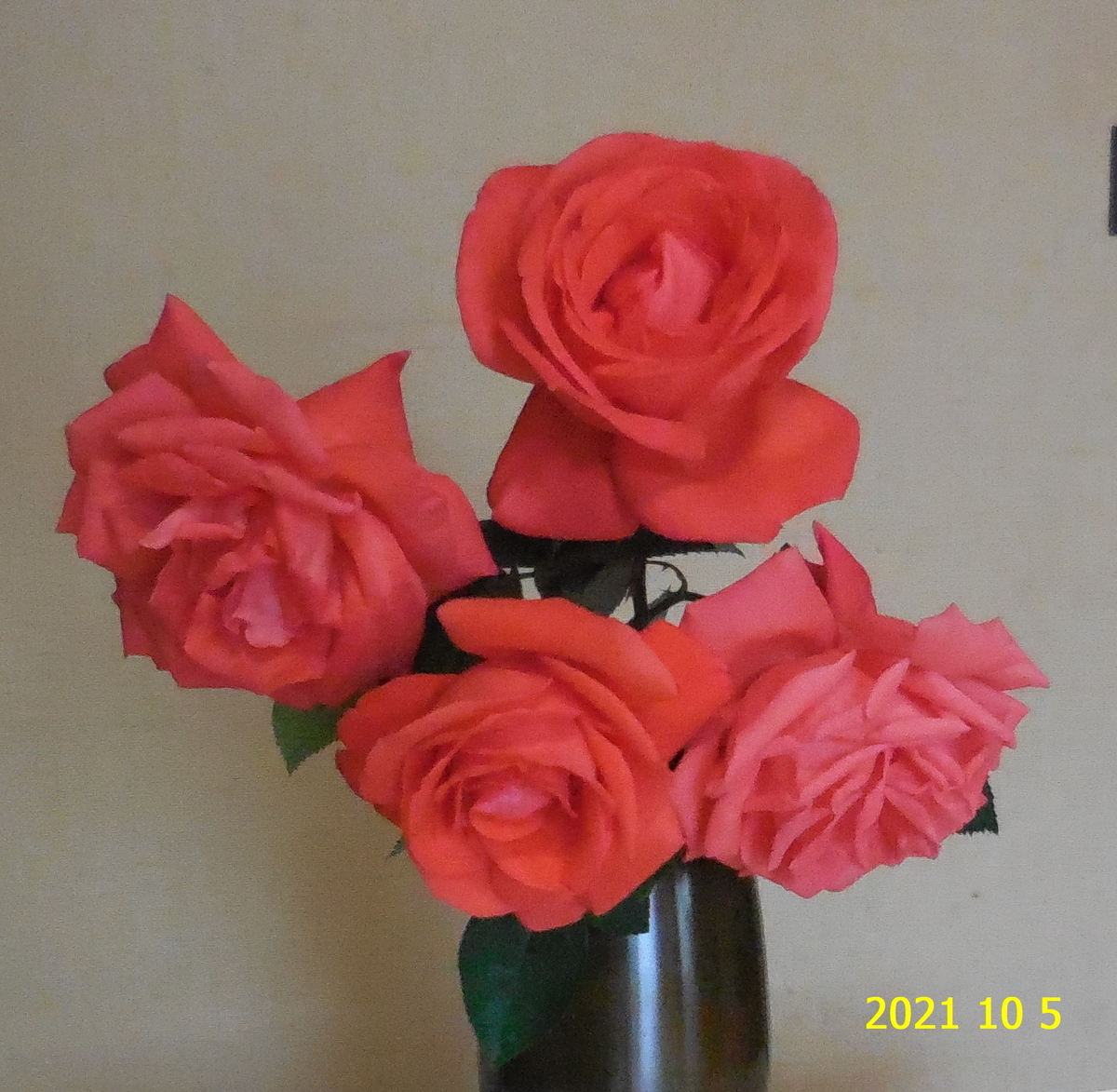 f:id:hateoji68:20211005115326j:plain