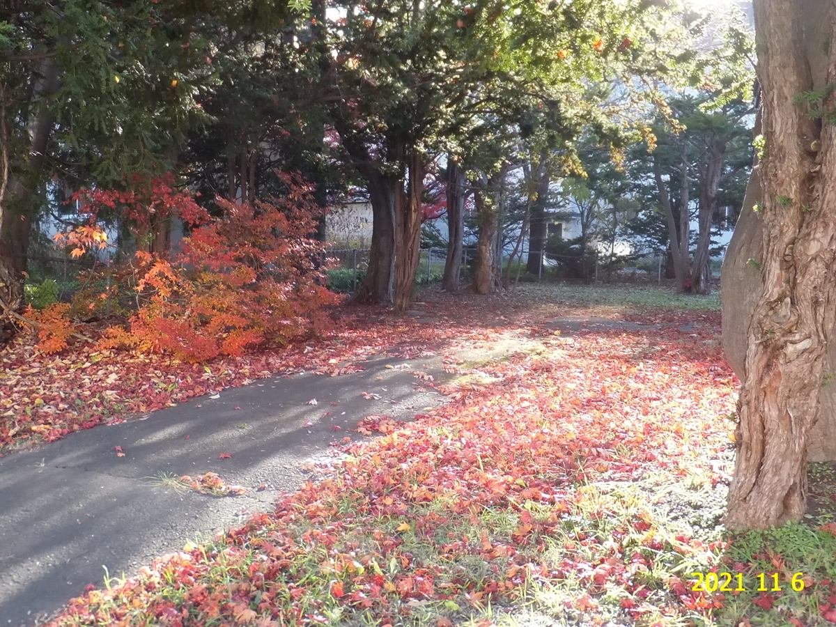 f:id:hateoji68:20211106142832j:plain