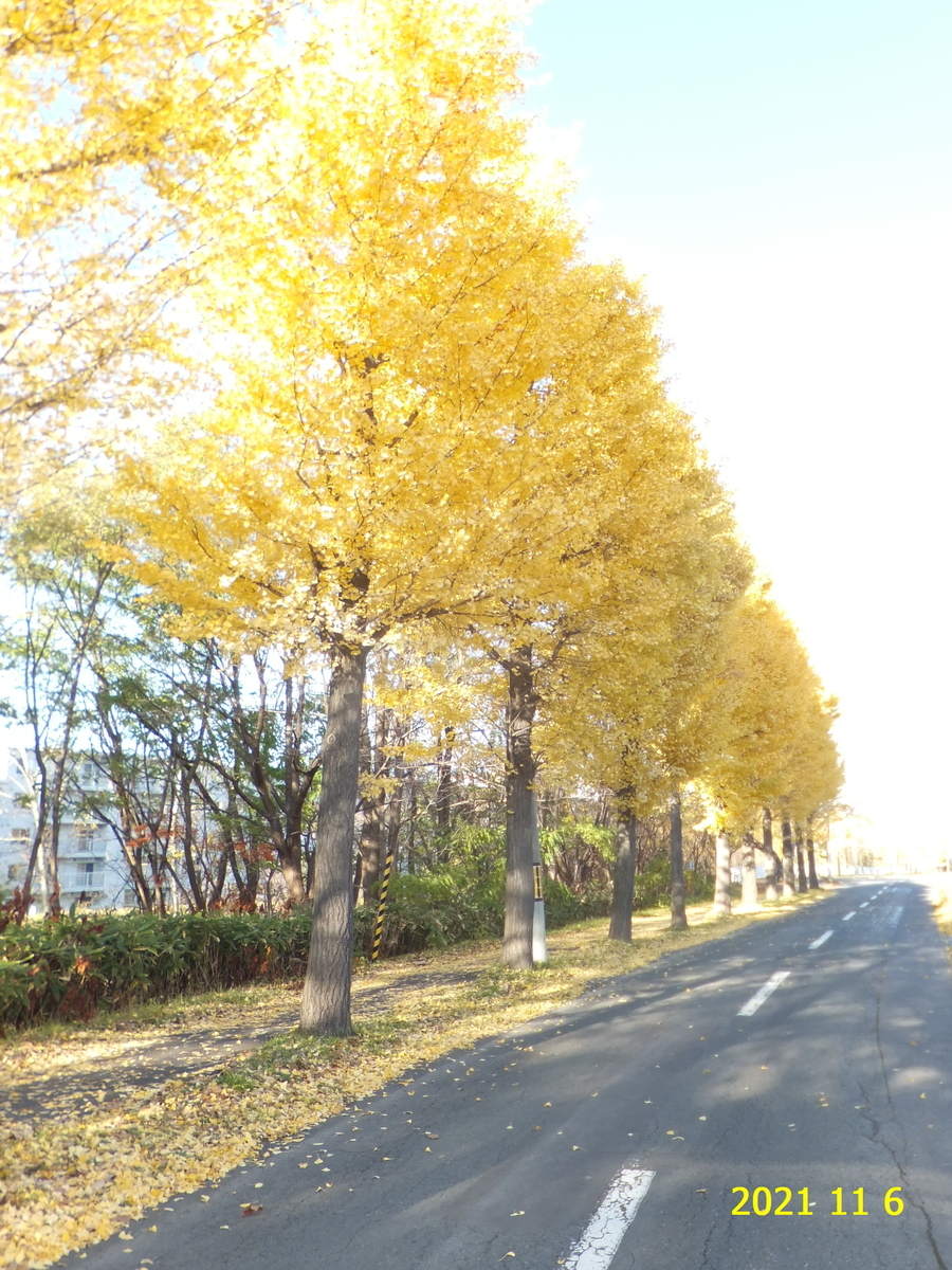 f:id:hateoji68:20211106143355j:plain