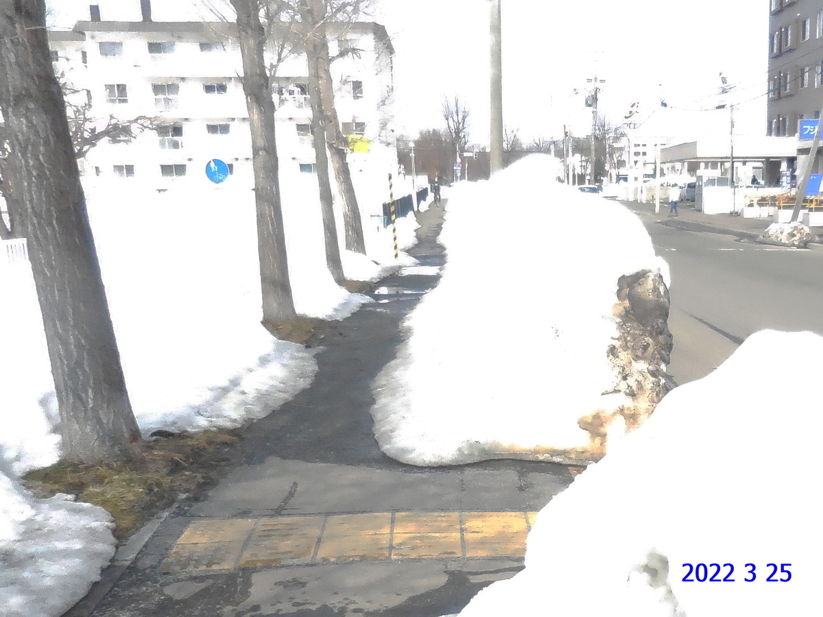 f:id:hateoji68:20220325134851j:plain