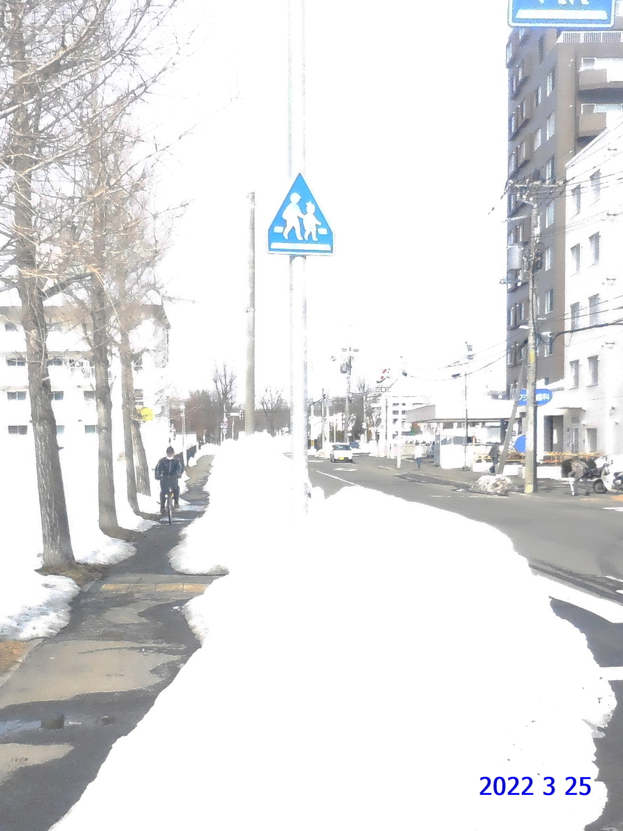 f:id:hateoji68:20220325134912j:plain