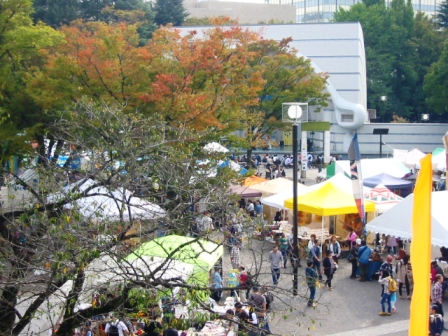イメージ 6