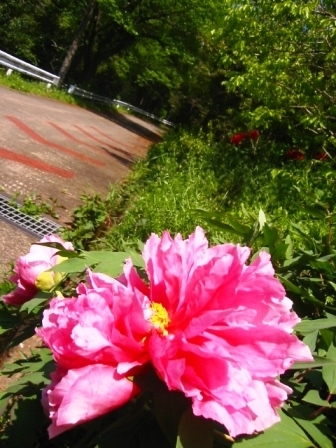 イメージ 6