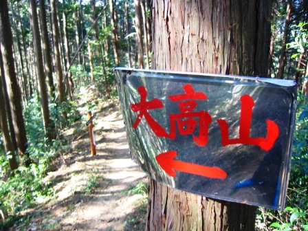 イメージ 7