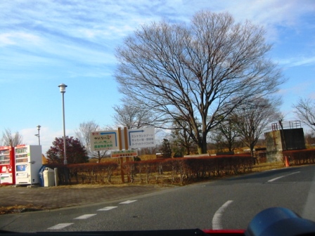 イメージ 5