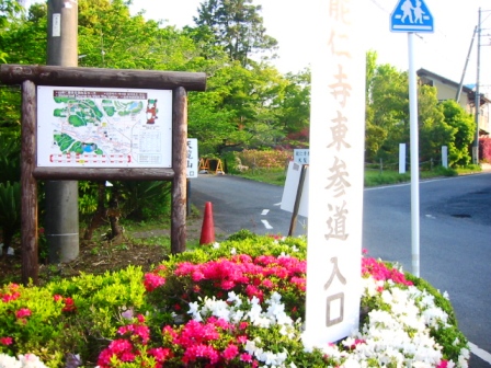イメージ 9